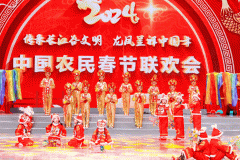 十四届中国农民春节联欢会在荆门“龙”重登场